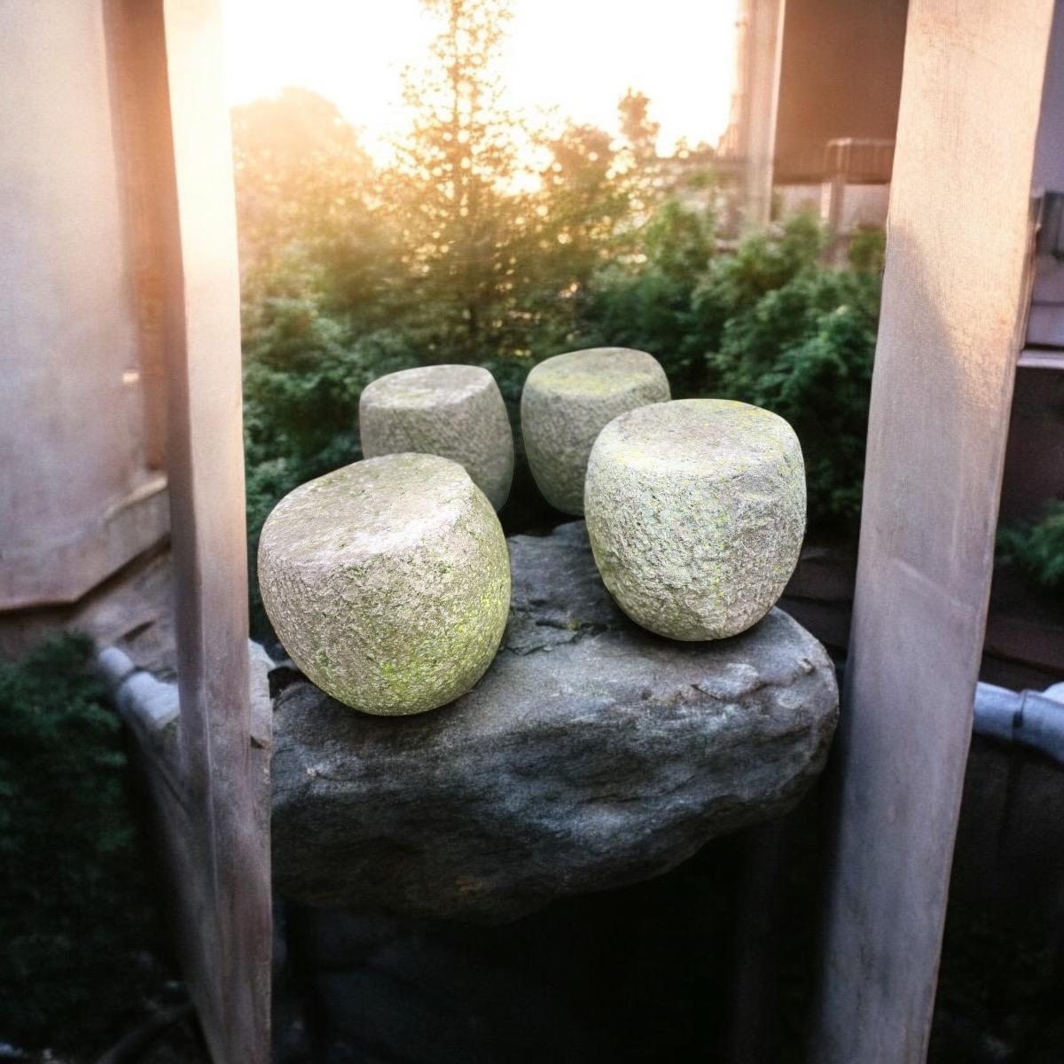 Set 4x garden stone